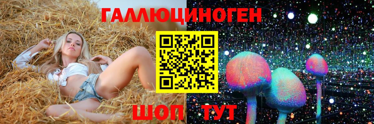 купить наркотик  Вход с VPN  Дубна  Псилоцибиновые грибы Cubensis 